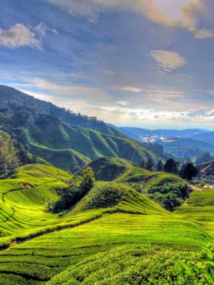 Cameroon