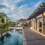 Tiptoe through the Tulips