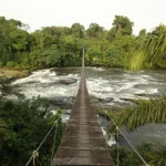 A Seaside Reset in Laguna Beach